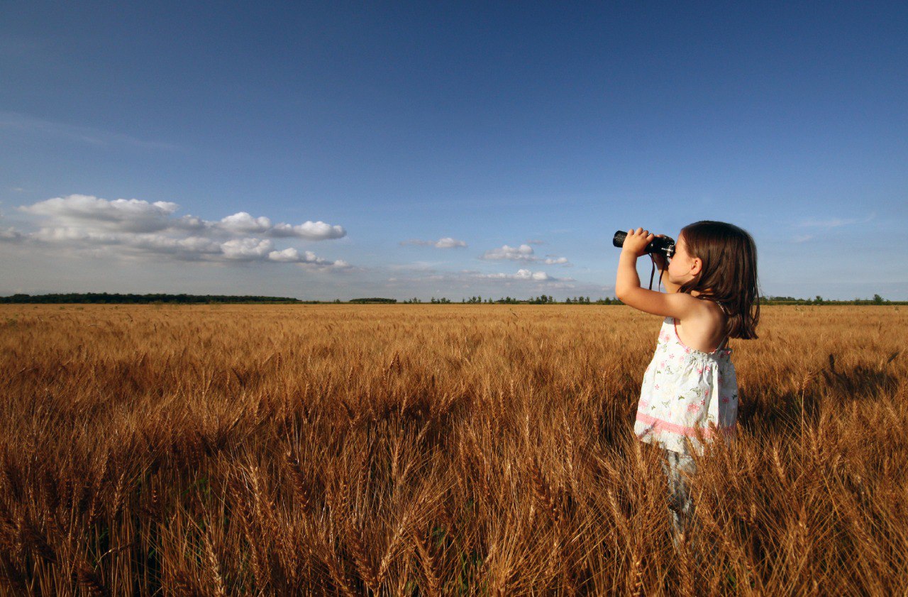 3613cba3-2864-469a-a35d-5ef555062065